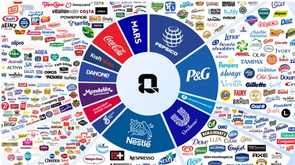 Img Top Fmcg Companies Brands